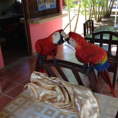 Hotel El Paraiso Escondido - Costa Rica Jacó Εξωτερικό φωτογραφία