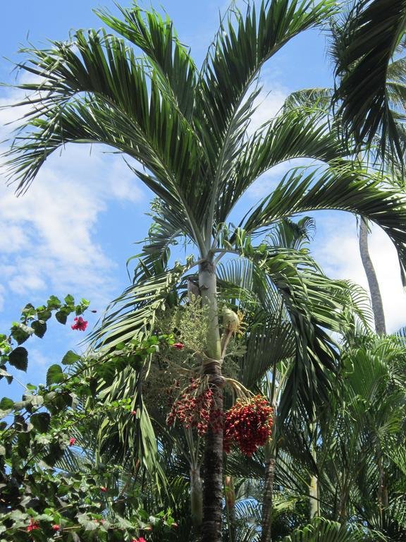 Hotel El Paraiso Escondido - Costa Rica Jacó Εξωτερικό φωτογραφία