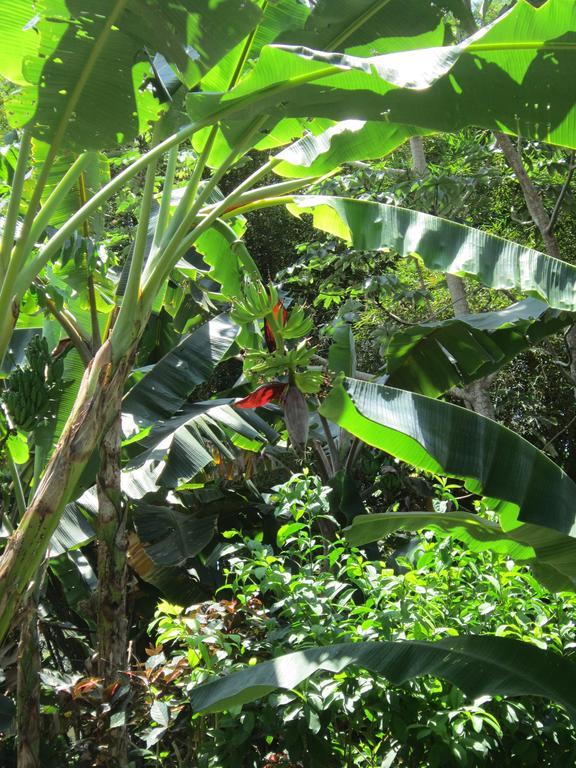 Hotel El Paraiso Escondido - Costa Rica Jacó Εξωτερικό φωτογραφία