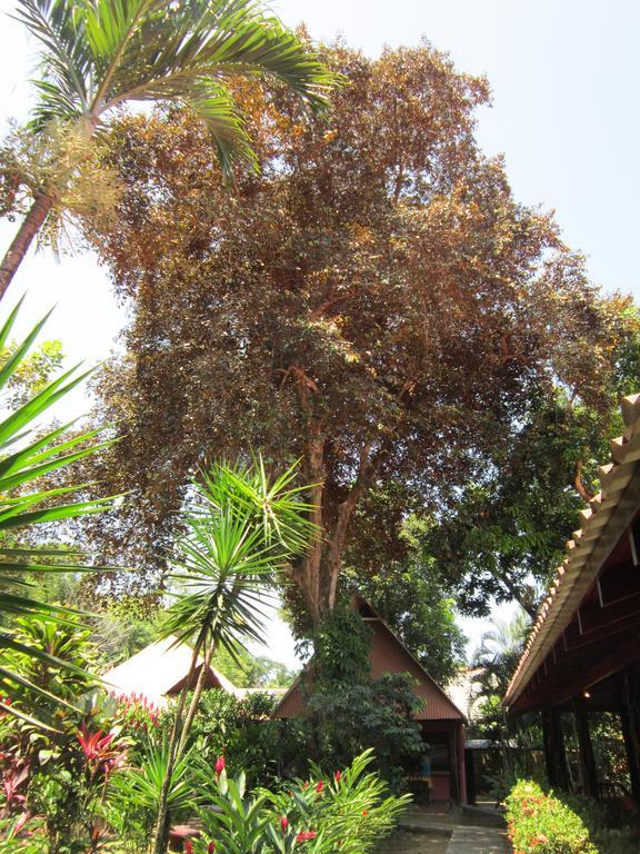 Hotel El Paraiso Escondido - Costa Rica Jacó Δωμάτιο φωτογραφία
