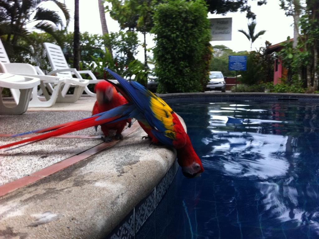 Hotel El Paraiso Escondido - Costa Rica Jacó Εξωτερικό φωτογραφία
