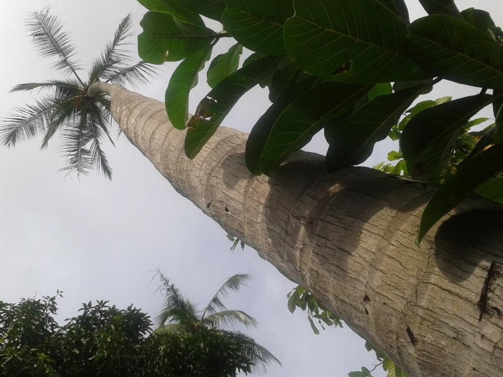 Hotel El Paraiso Escondido - Costa Rica Jacó Εξωτερικό φωτογραφία