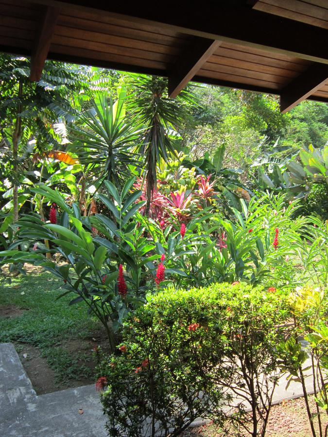 Hotel El Paraiso Escondido - Costa Rica Jacó Εξωτερικό φωτογραφία